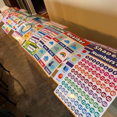 SET OF 12 ELEMENTARY CLASSROOM CHARTS 