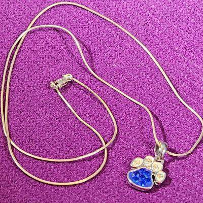 Sterling 24-Inch Chain with KY Cats Paw Pendant