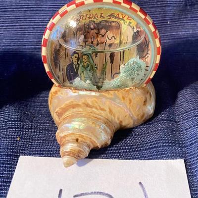 Vintage Bridal Cave Sea Shell Souvenir