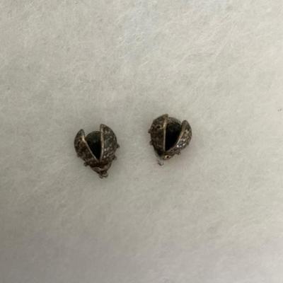 Vintage Ladybug earrings