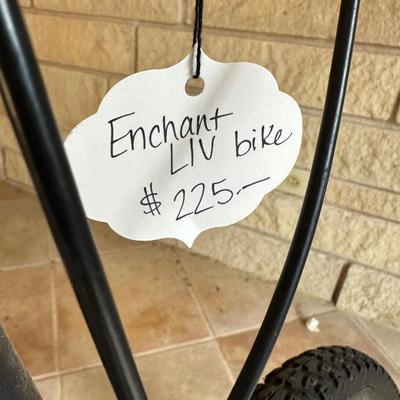 Lot 16: Enchant LIV Adult Youth Bike