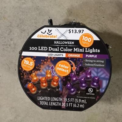 100 LED DUAL COLOR MINI LIGHTS