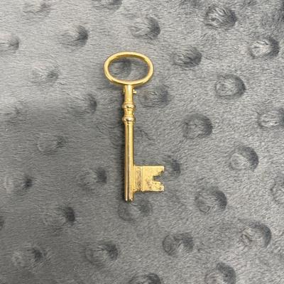 Vintage brass skeleton key