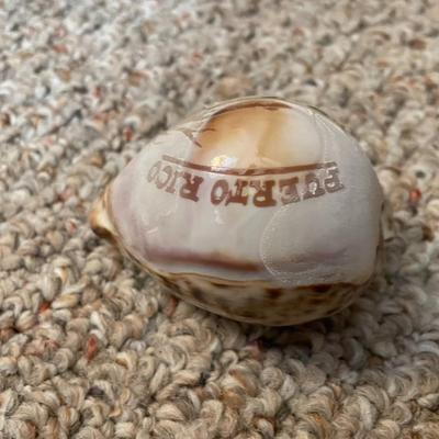 Collectible Shell Puerto Rico - Lot 342