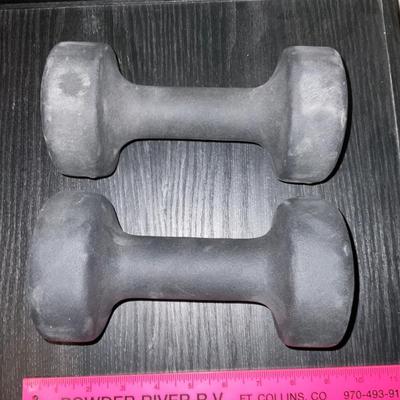 Two 10 lb Dumbbells.