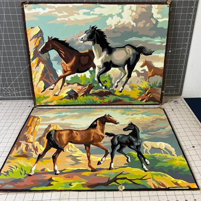 2 Wild Horses PAINT BY Numbers. 