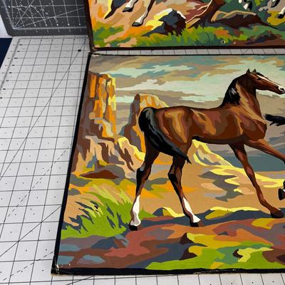 2 Wild Horses PAINT BY Numbers. 