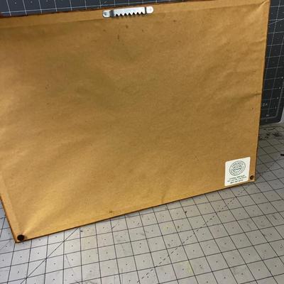 Pussy Cat Picture WHITE CAT in  Pastel or Water Color? 