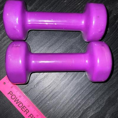 Two 5 lbs Dumbbells
