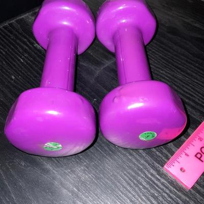 Two 5 lbs Dumbbells