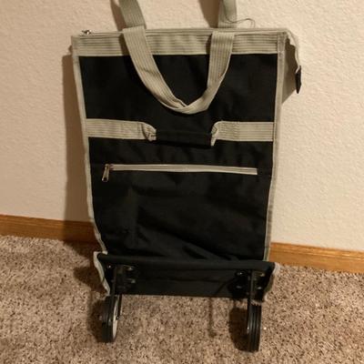 Small Bag on wheels.