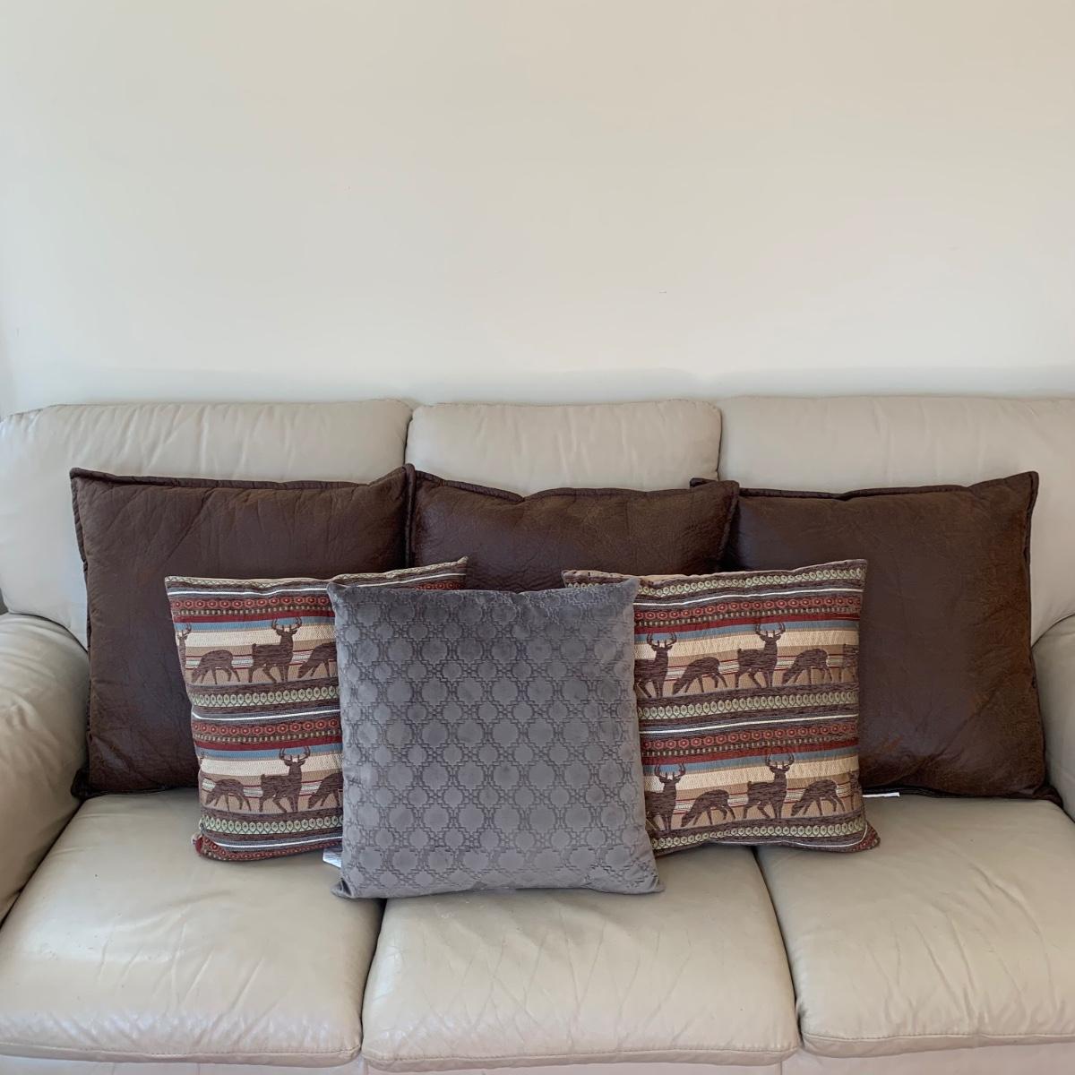 Throw Pillows (LRHS)