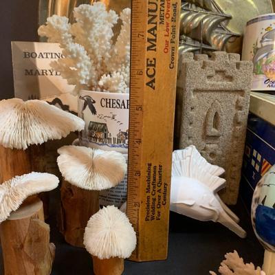 LOT 56R: Maryland Beach Memorbilia and Other Natical Items Including Coral