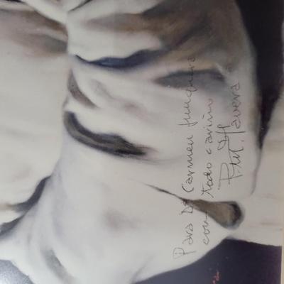 Signed Pedro Tavera Picture