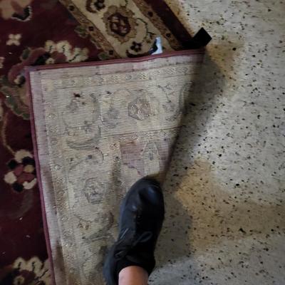 Rug Lot