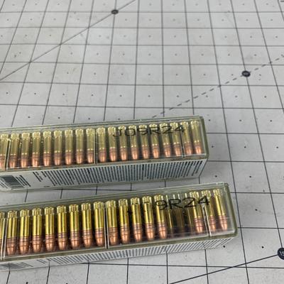 #145 CCI Mini Mag 22 LR HP ammo