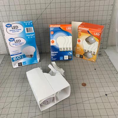 #395 Lightbulbs