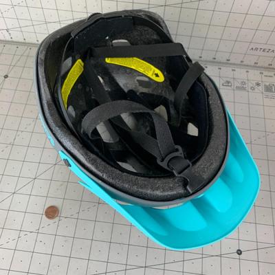 #431 Schwinn Blue and Gray Helmet