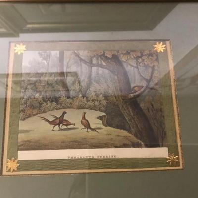 ENGLISH HAND COLORED ENGRAVINGS