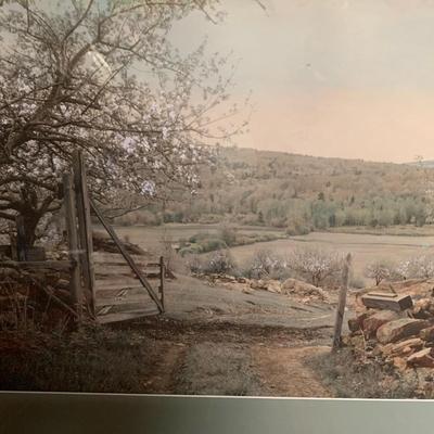 ART LOT