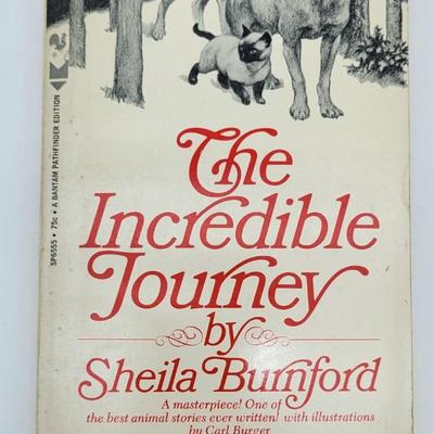 Paperback Book Lot
