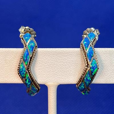 EXCELLENT SIGNED â€œSW STERLINGâ€ EARRINGS