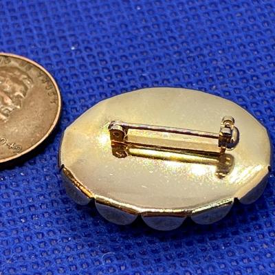 FAUX CAMEO PIN ON BLUE BACKGROUND