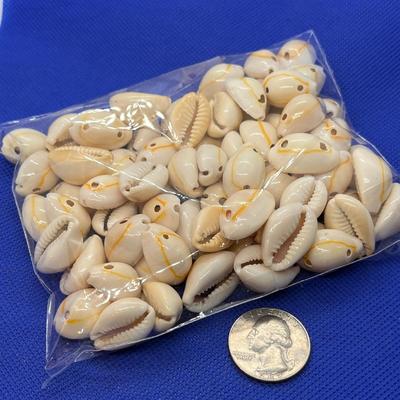 SEASHELLS DRILLED FOR STRINGING