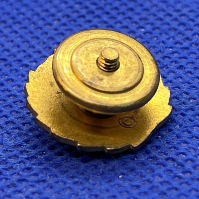 VINTAGE WWII AMERICAN VETERANS PIN 