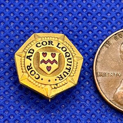 VINTAGE ORGANIZATIONAL PIN LATIN INSCRIPTION?