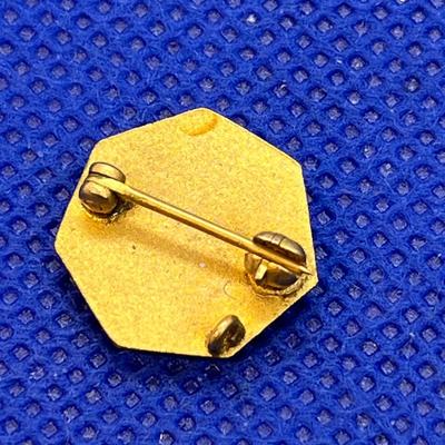 VINTAGE ORGANIZATIONAL PIN LATIN INSCRIPTION?