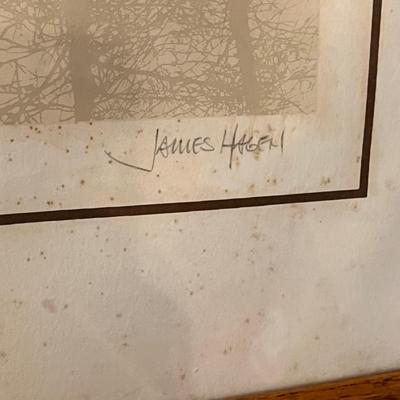 Signed Numbered MCM James Hagen Serigraph Art - See Description