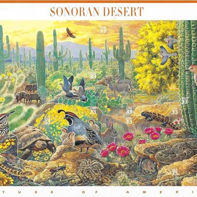 Sonoran Desert Stamp Set