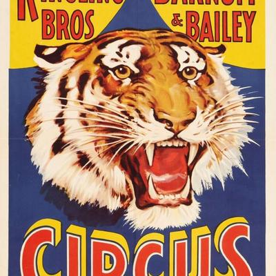 Ringling Bros. and Barnum & Bailey Reprint Circus Tiger 