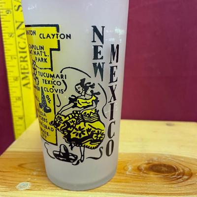 New Mexico State souvenir frosted state map