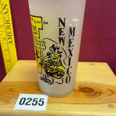 New Mexico State souvenir frosted state map