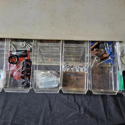 Organizer with drawers and contents