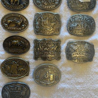 Collection of Hesston Buckles