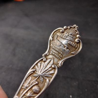 Vintage Sterling Collector's Spoon