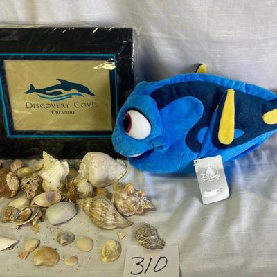 Nemo and Shells