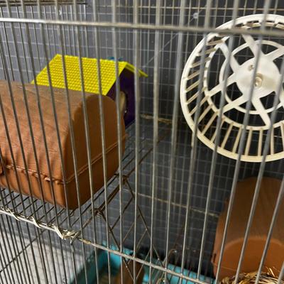 Super Bird Cage With Stuff