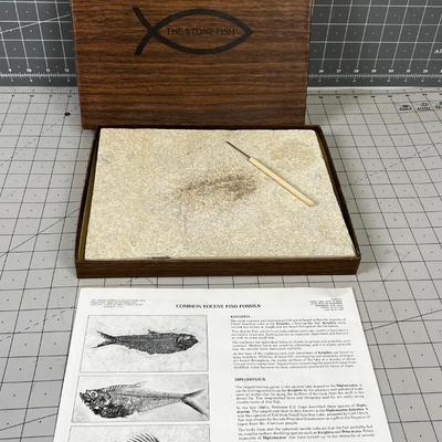 The Stone Fish