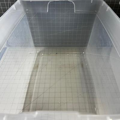 2 Clear Tubs with Lids