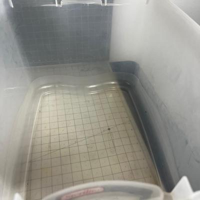 2 Clear Tubs with Lids