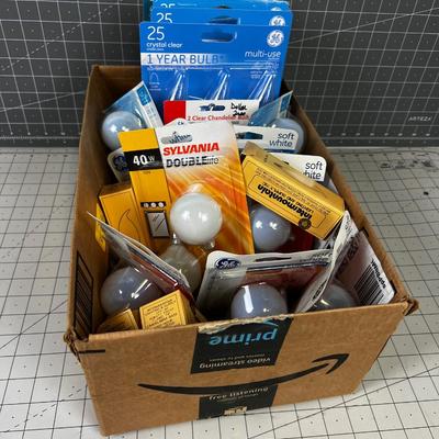 Light Bulbs and Appliance Bulbs 