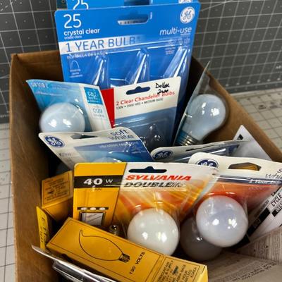 Light Bulbs and Appliance Bulbs 