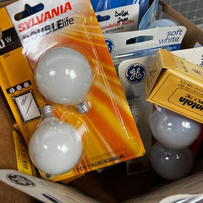Light Bulbs and Appliance Bulbs 