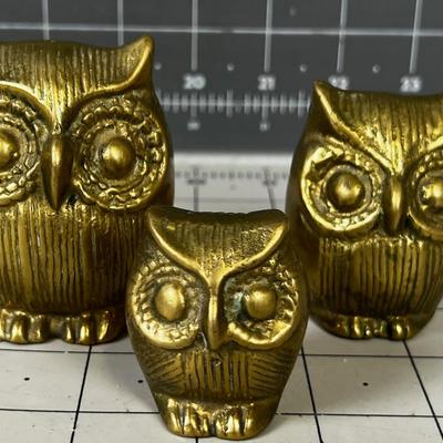 3 Solid Brass owls 
