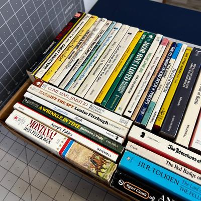 2 Boxes of Vintage Paperback Books