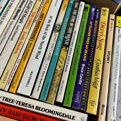 2 Boxes of Vintage Paperback Books